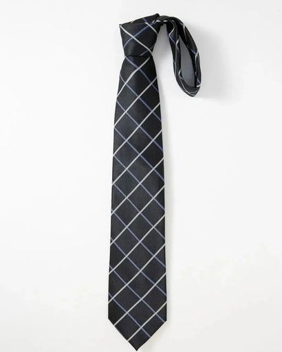 [sc2302197371797056] Men Plaid Pattern Tie - Black and Blue